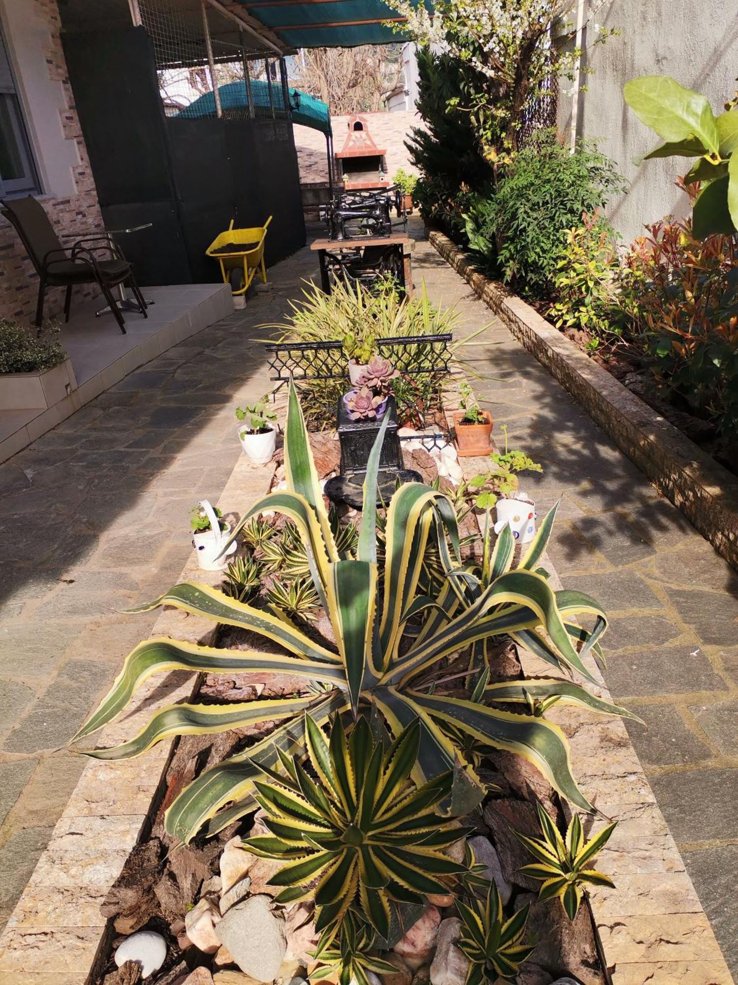 Studios Lia Adults Only -Fully Renovated Chrysi Ammoudia Exterior photo