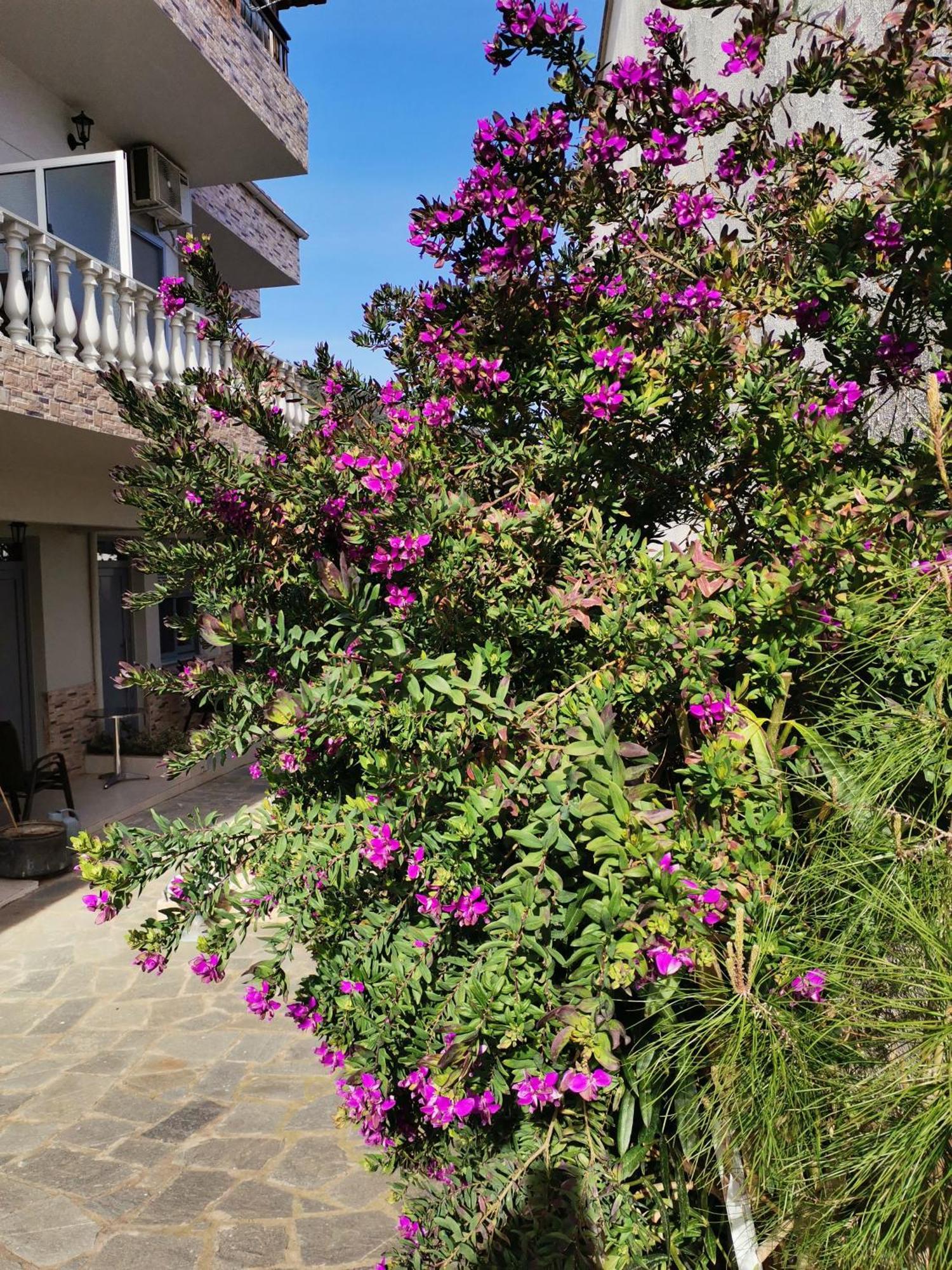 Studios Lia Adults Only -Fully Renovated Chrysi Ammoudia Exterior photo